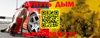 крисы Бузулук