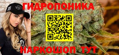 крисы Бузулук