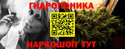 шишки Наро-Фоминск